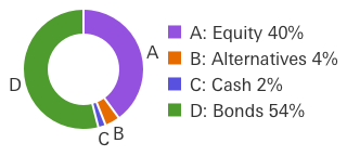 Conservative portfolio example: Equity 40%, Alternatives 4%, Cash 2%, Bonds 54%