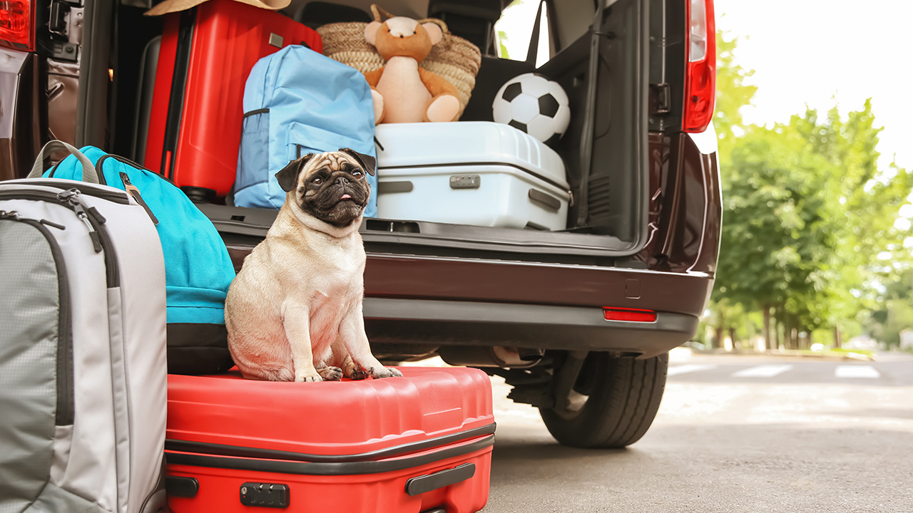 Make sure you and your money are holiday-ready