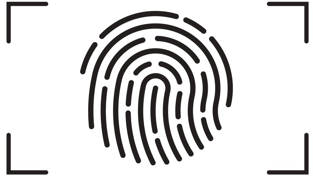 Tối ưu CSV import với fingerprint