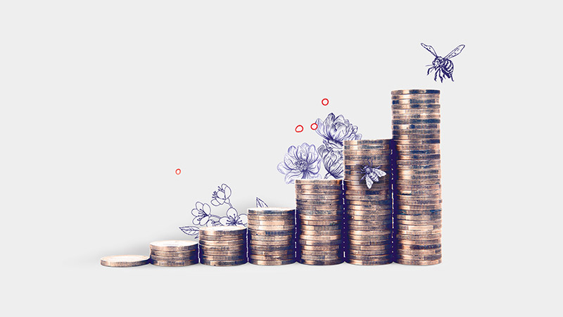coins