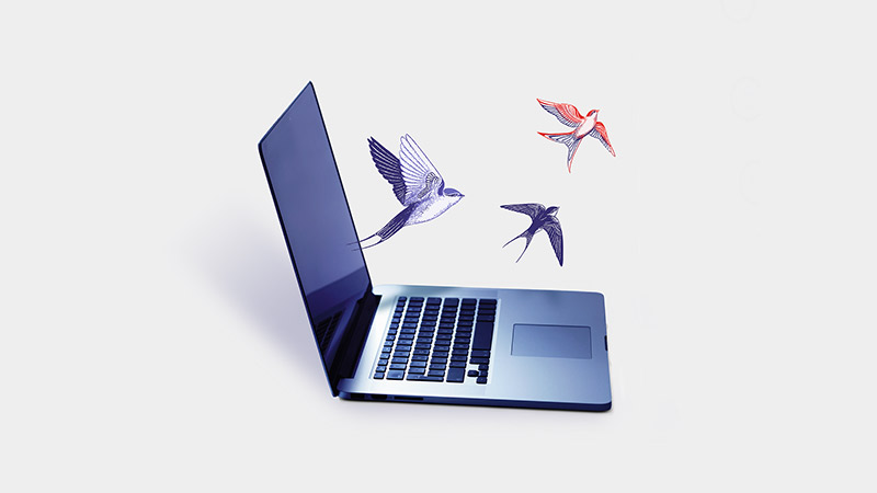 laptop